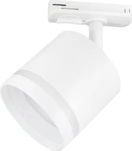 Трековый светильник Ambrella light GL GL5369 фото