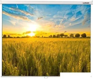 Проекционный экран Lumien Eco Picture (LEP-100101) фото