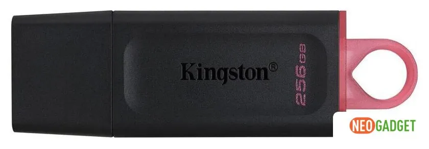 USB Flash Kingston DataTraveler Exodia 256GB фото
