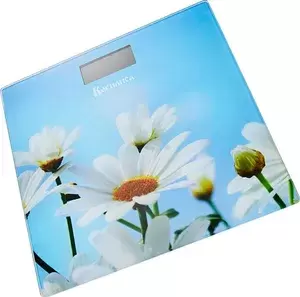 Весы напольные Василиса