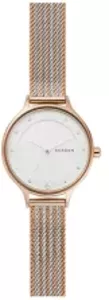 Наручные часы Skagen