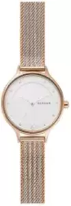 Наручные часы Skagen