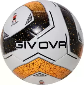 Мячи GIVOVA
