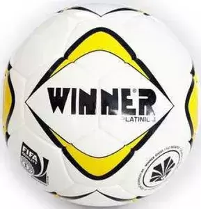 Мячи Winner