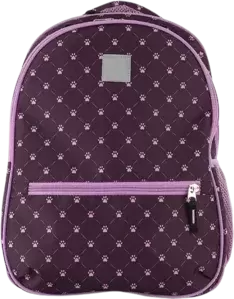 Рюкзаки и ранцы Arlion