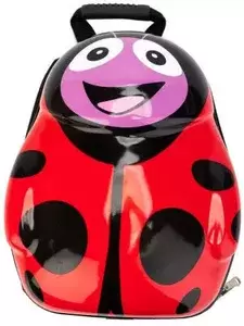 Рюкзаки и ранцы BRADEX