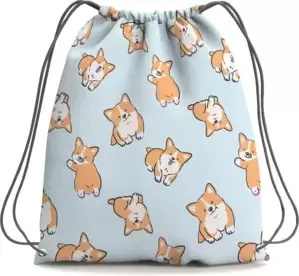 Рюкзаки и ранцы Leader Toys