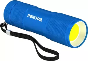 Фонари Рекорд