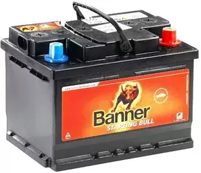 Аккумуляторы автомобильные Banner