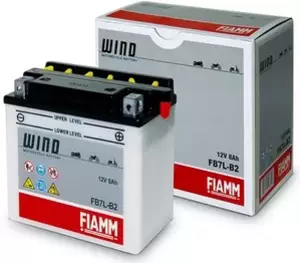 Аккумуляторы автомобильные FIAMM