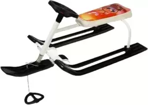 Санки и снегокаты Россия