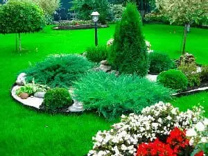 Благоустройство территории