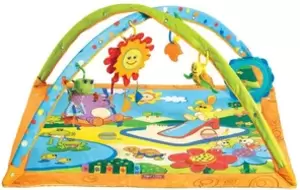 Развивающие коврики Tiny Love