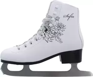 Коньки ледовые Nordway