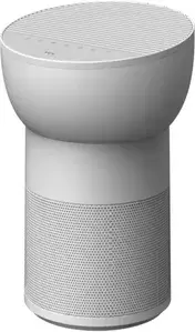 Очистители и мойки воздуха TCL