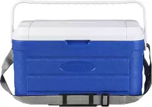 Сумки-холодильники Арктика