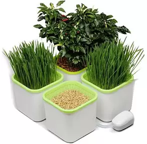 Аэросады и проращиватели