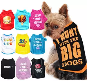 Одежда и обувь для животных