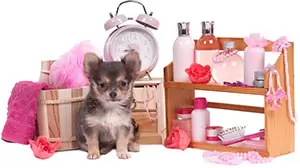 Косметика для животных