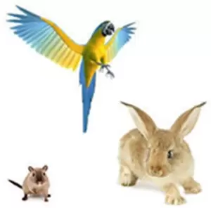 Для птиц и грызунов