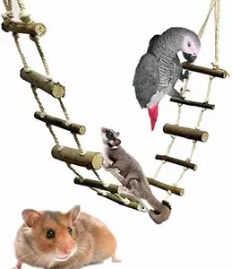 Аксессуары для птиц и грызунов
