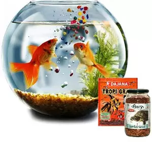 Для рыб и рептилий