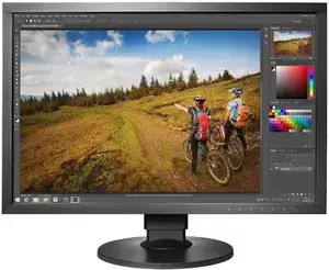 Мониторы EIZO